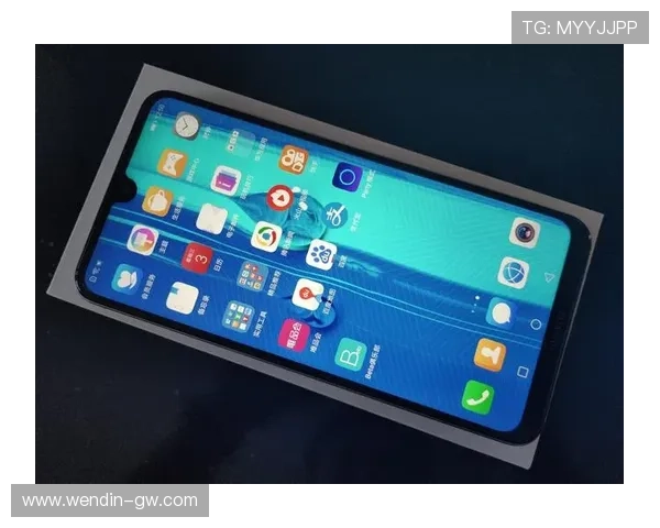 乐虎国际官方网app：畅享在线娱乐的全新体验